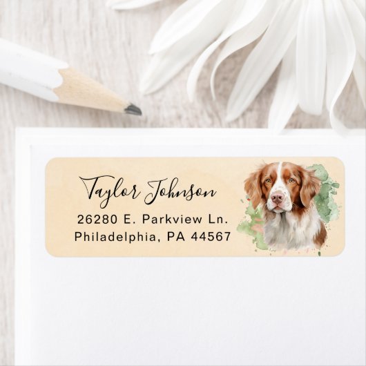 Brittany Spaniel-hond retouradreslabel Etiket (Insitu)
