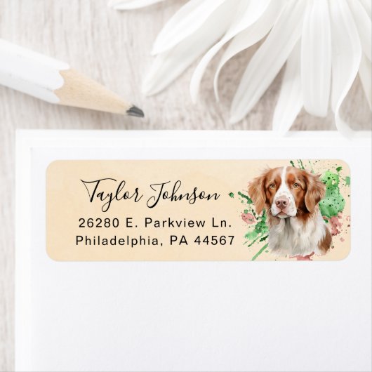 Brittany Spaniel-hond retouradreslabel Etiket (Insitu)