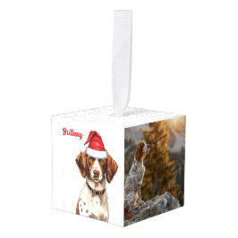 Brittany Spaniel Hond Twee Foto Vakantie Decoratie