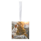 Brittany Spaniel Hond Twee Foto Vakantie Decoratie (Rechts)