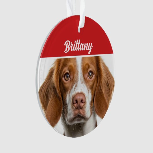 Brittany Spaniel Hond Vakantie Foto Kerstmis Ornament (voorkant)