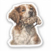 Brittany Spaniel & Houtsnipjacht Sticker (Voorkant)