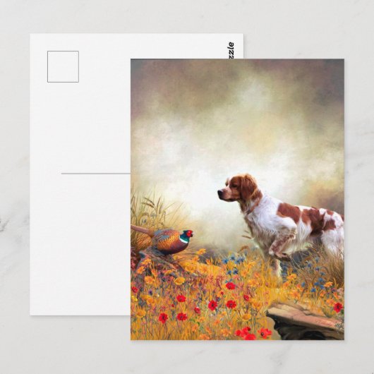 Brittany Spaniel, Hunting Pheasant Briefkaart (Voorkant / Achterkant)