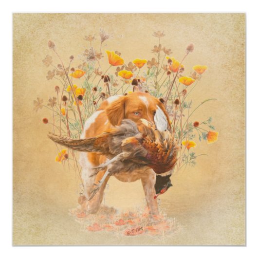 Brittany Spaniel, Hunting Pheasant Coffee Mok T-Sh Perfect Poster (Voorkant)