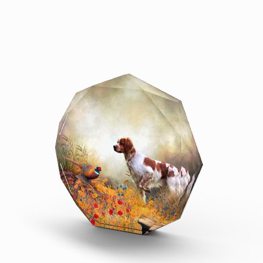 Brittany Spaniel, Hunting Pheasant Fotoblokken (Rechts)