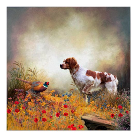 Brittany Spaniel, Hunting Pheasant Perfect Poster (Voorkant)