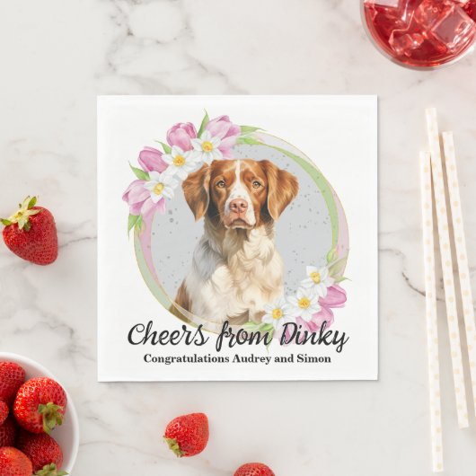 Brittany Spaniel Ik Doe Te Servetten Met Honden Fo (Insitu)