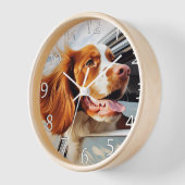 Brittany spaniel in autoruit (Hoek)