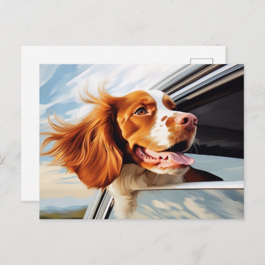 Brittany spaniel in autoruit briefkaart (Voorkant / Achterkant)