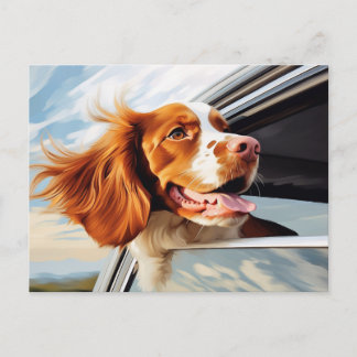 Brittany spaniel in autowindow briefkaart