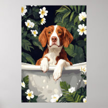 Brittany Spaniel In Badposter, Grappige Hond