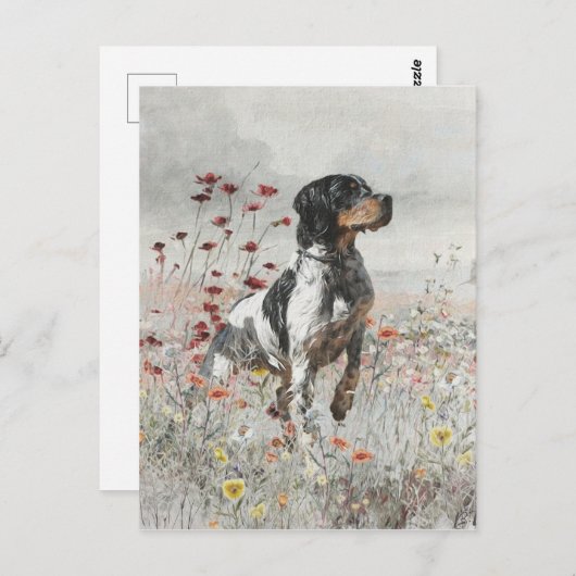 Brittany Spaniel jaagt in het veld Briefkaart (Voorkant / Achterkant)