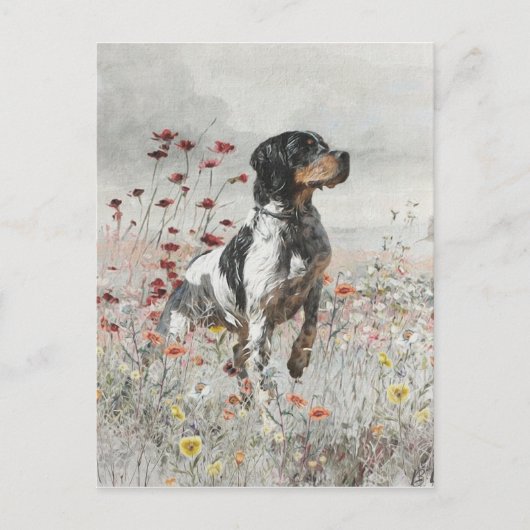 Brittany Spaniel jaagt in het veld Briefkaart (Voorkant)