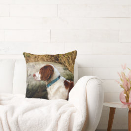 Brittany Spaniel - Koper Kussen