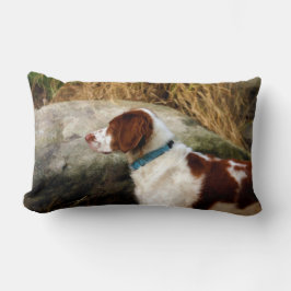 Brittany Spaniel - Koper Kussen