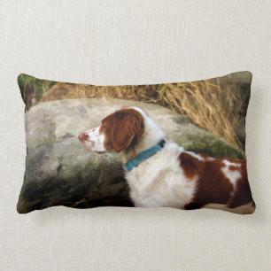 Brittany Spaniel - Koper Kussen