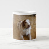 brittany spaniel leg grote koffiekop (Voorkant)