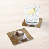 brittany spaniel leg kartonnen onderzetters (Insitu)