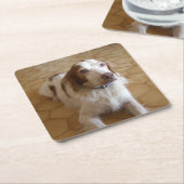 brittany spaniel leg kartonnen onderzetters (Schuin)