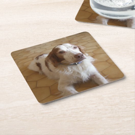brittany spaniel leg kartonnen onderzetters (Schuin)