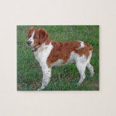 Brittany Spaniel Legpuzzel (Horizontaal)
