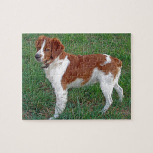 Brittany Spaniel Legpuzzel