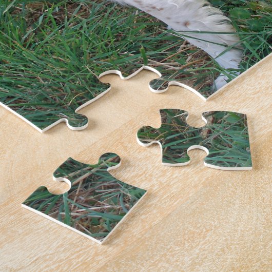 Brittany Spaniel Legpuzzel (Zijkant)