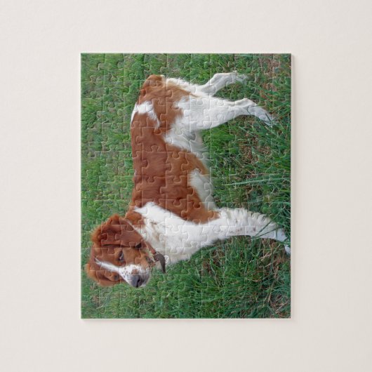 Brittany Spaniel Legpuzzel (Verticaal)