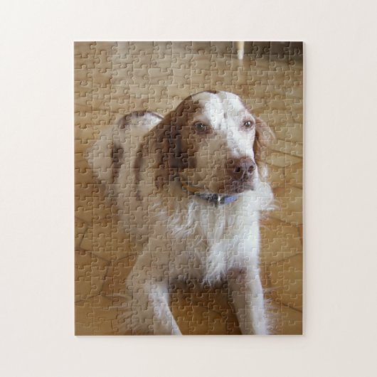 brittany spaniel ligt legpuzzel (Verticaal)
