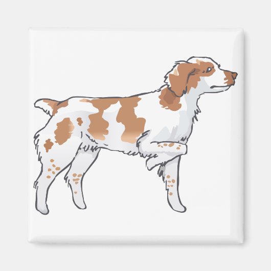Brittany Spaniel Magneet (Voorkant)