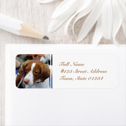 Brittany Spaniel Mailing Labels (Insitu)