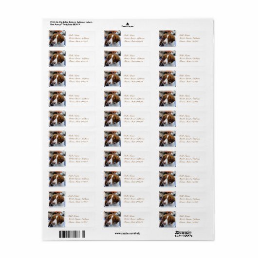 Brittany Spaniel Mailing Labels (Full Sheet)