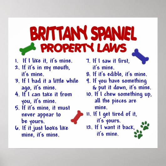 BRITTANY SPANIEL PL2 POSTER (Voorkant)