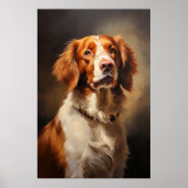 Brittany Spaniel Poster (Voorkant)