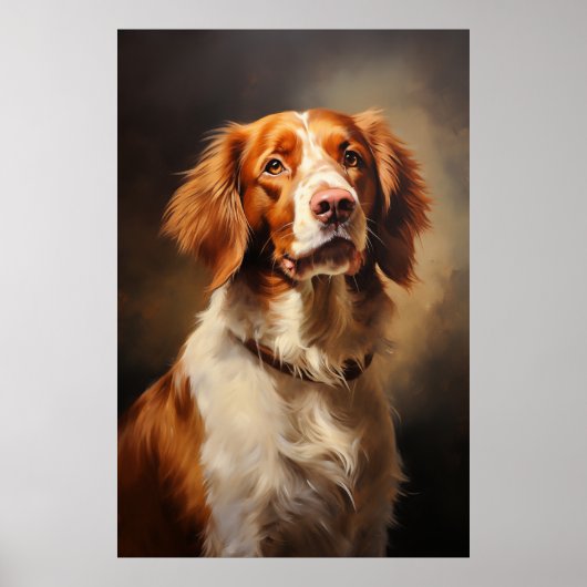 Brittany Spaniel Poster (Voorkant)