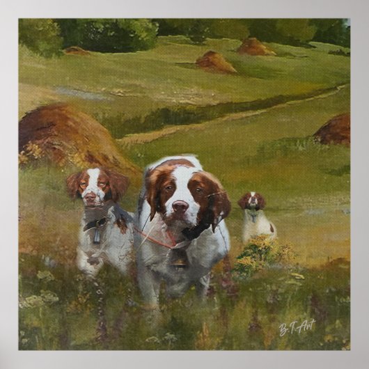 Brittany Spaniel Poster (Voorkant)