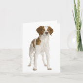 Brittany Spaniel Puppy Dog Blank Note Kaart (Voorkant)