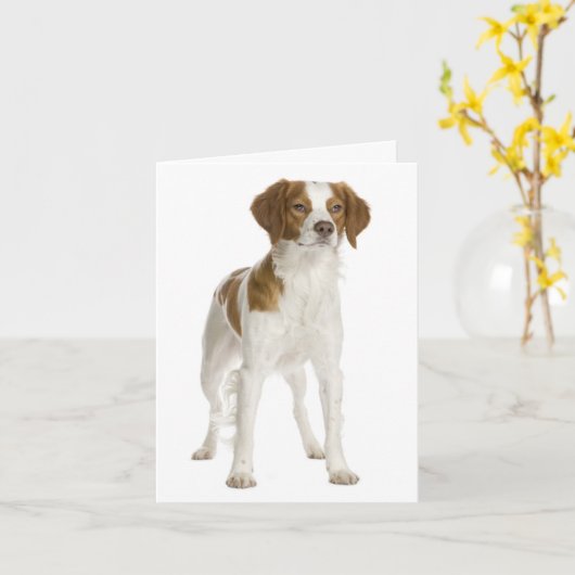 Brittany Spaniel Puppy Dog Blank Note Kaart (Gele Bloem)