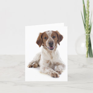 Brittany Spaniel Puppy Dog Blank Note Kaart