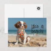 Brittany Spaniel Puppy dragen zonnebril Briefkaart (Voorkant / Achterkant)