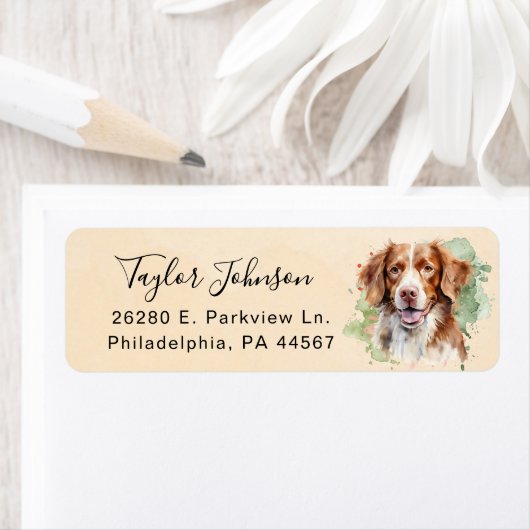 Brittany Spaniel Retour Adres Label (Insitu)