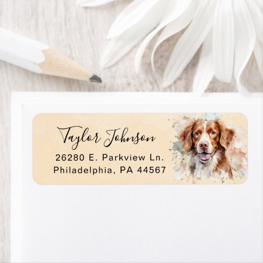 Brittany Spaniel Retour Adres Label (Insitu)
