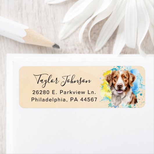 Brittany Spaniel Retour Adres Label (Insitu)
