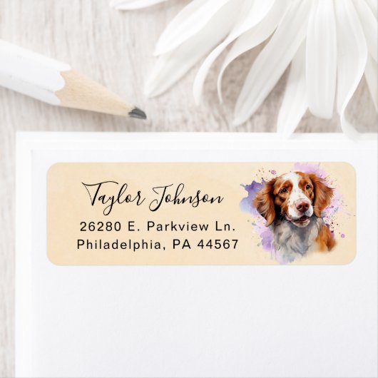 Brittany Spaniel Retour Adres Label (Insitu)