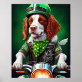Brittany Spaniel rijdt fiets St. Patrick's Day Poster (Voorkant)