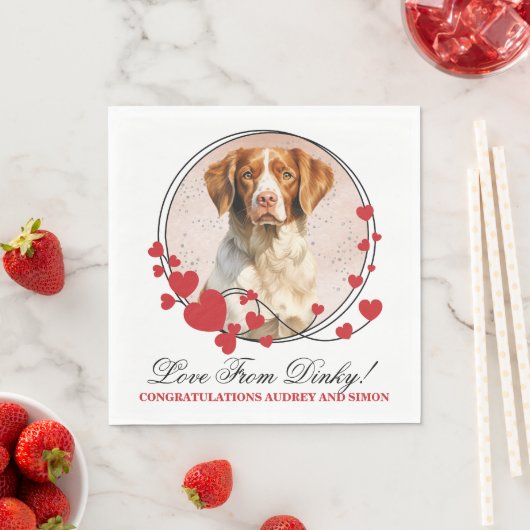 Brittany Spaniel Rode Hart Frame Honden Foto Servet (Insitu)