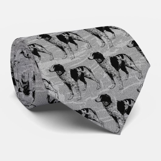 brittany spaniel stropdas (Opgerold)