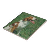 Brittany Spaniel Tile Tegeltje (Zijkant)