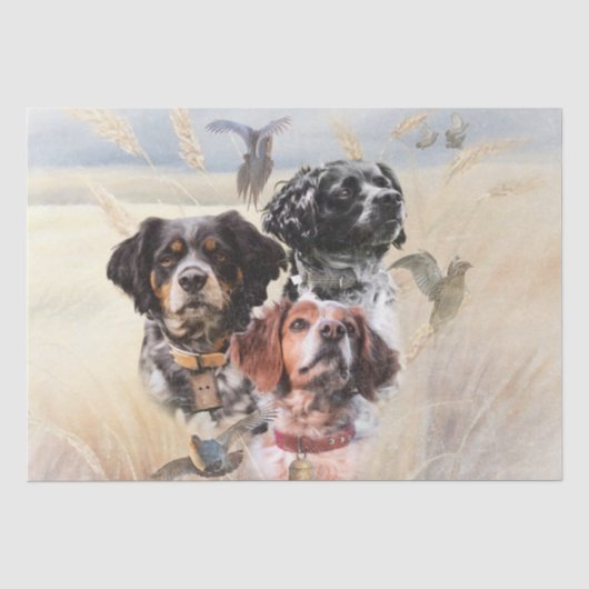 Brittany Spaniel Tissuepapier (Voorkant)