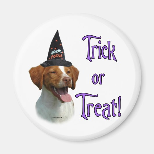 Brittany Spaniel Trick Magneet (Voorkant)